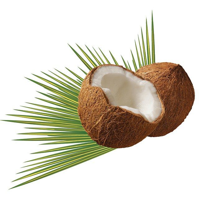 coconut 979858 640