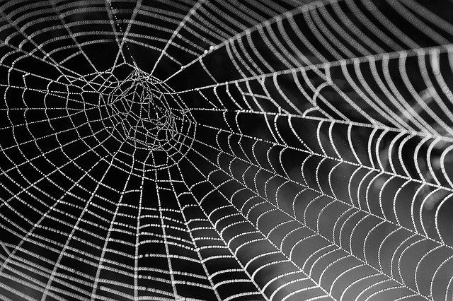 cobweb gc7f0e640c 640