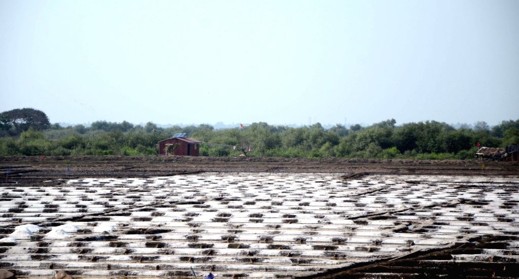 a view of natural salt