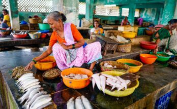 fish market